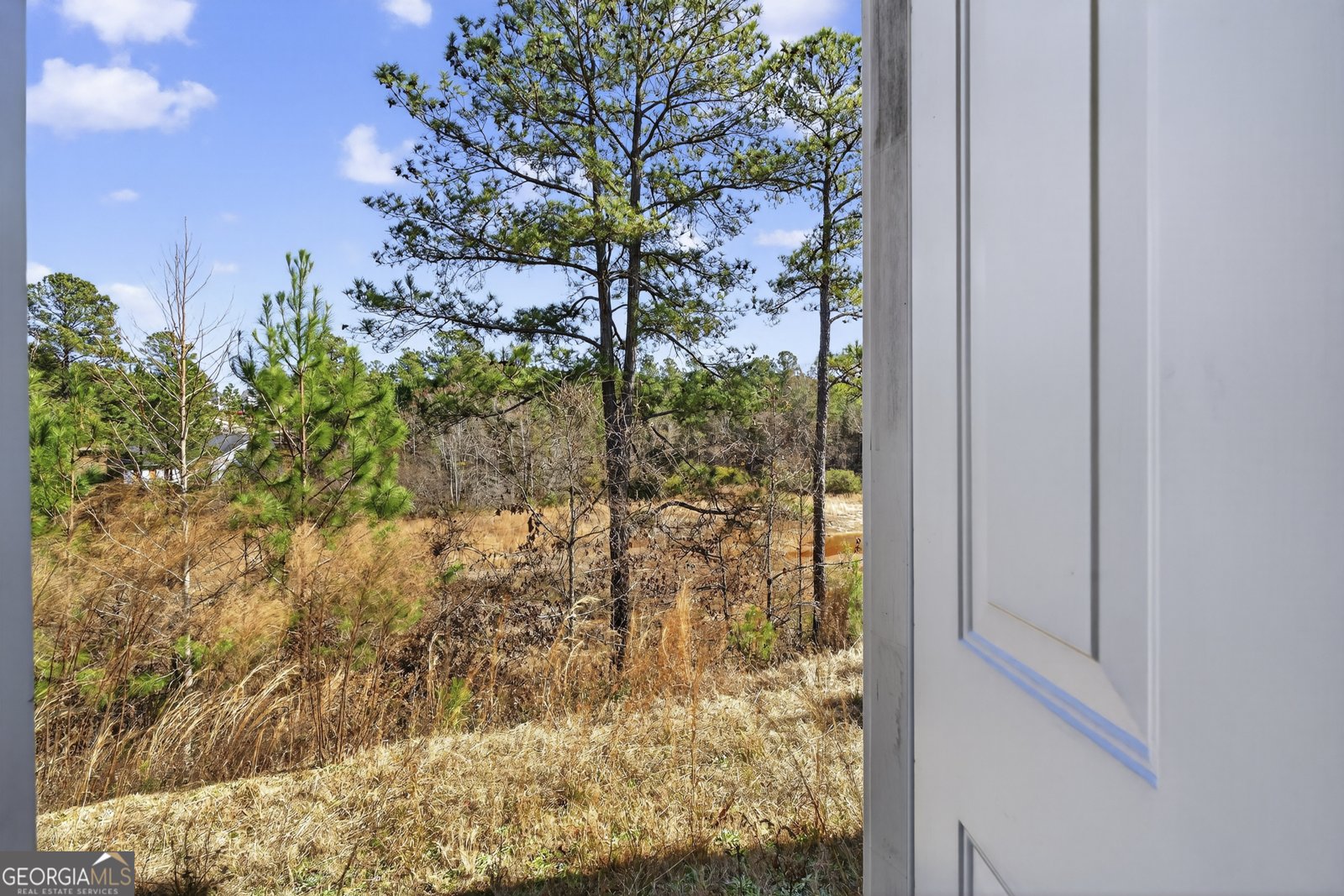 1307 Dayle Court Macon - Photo 28