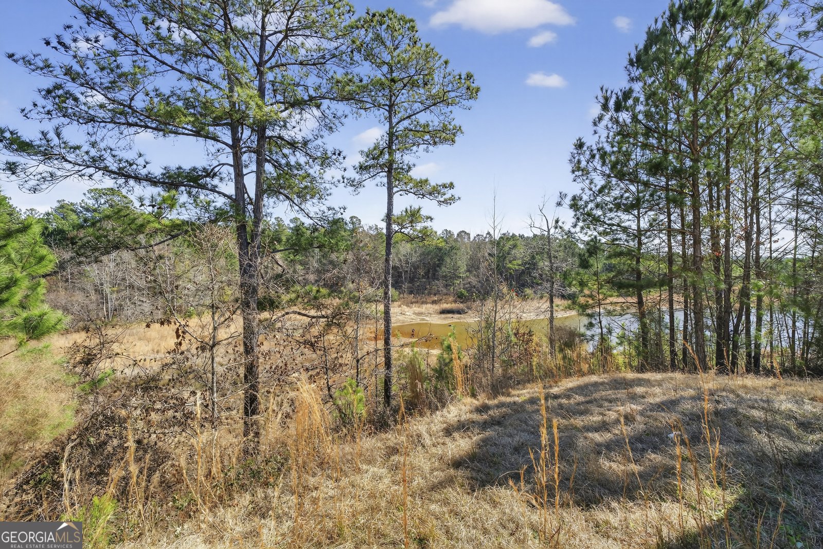 1307 Dayle Court Macon - Photo 29