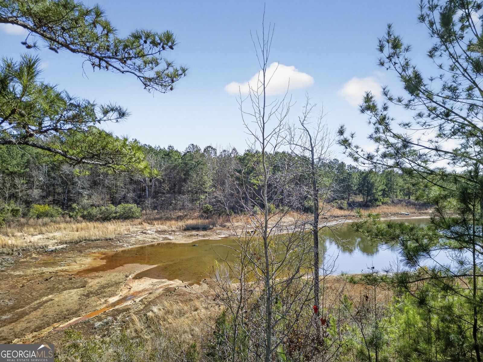 1307 Dayle Court Macon - Photo 30