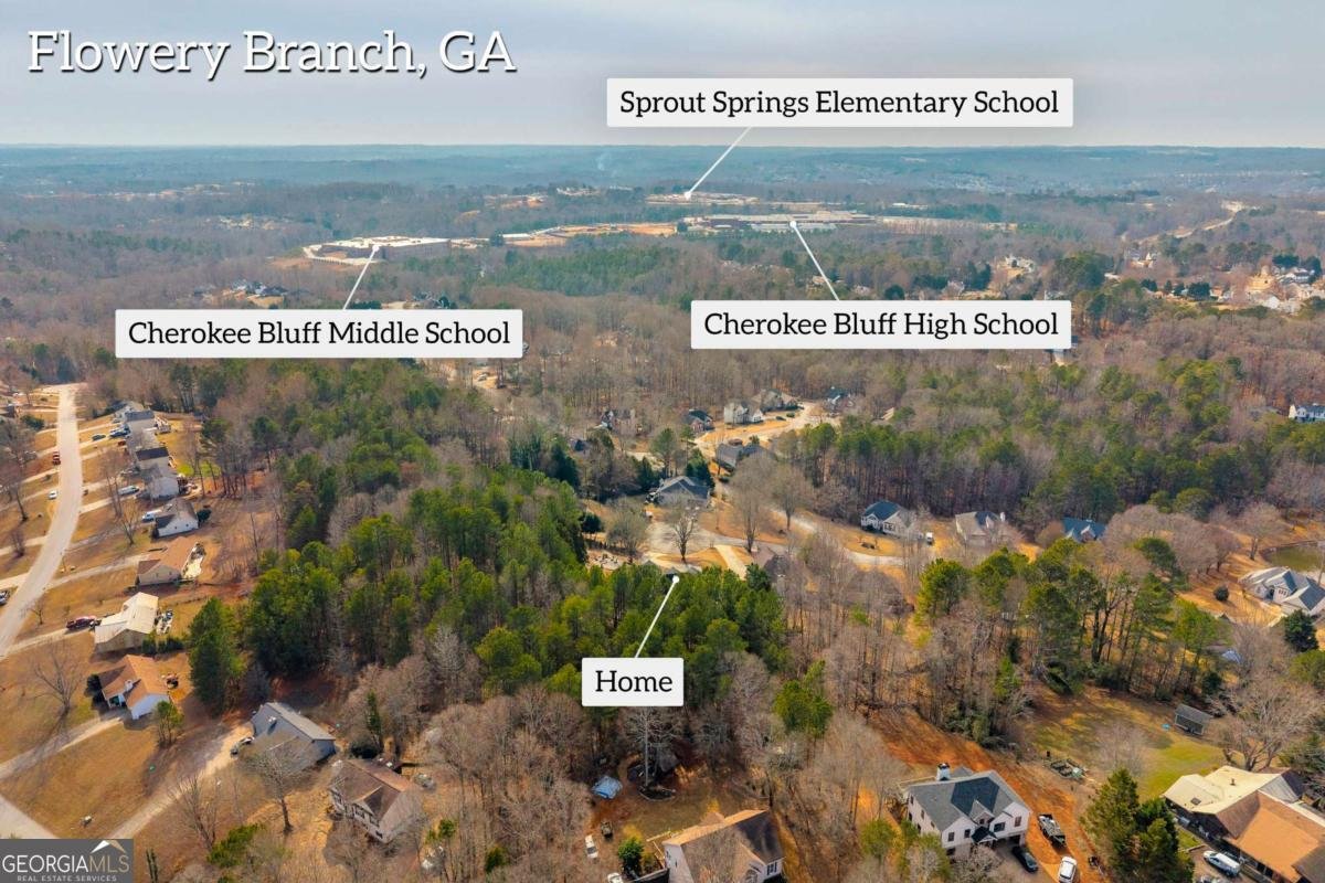 5169 Artesian Spring Drive Flowery Branch - Photo 41