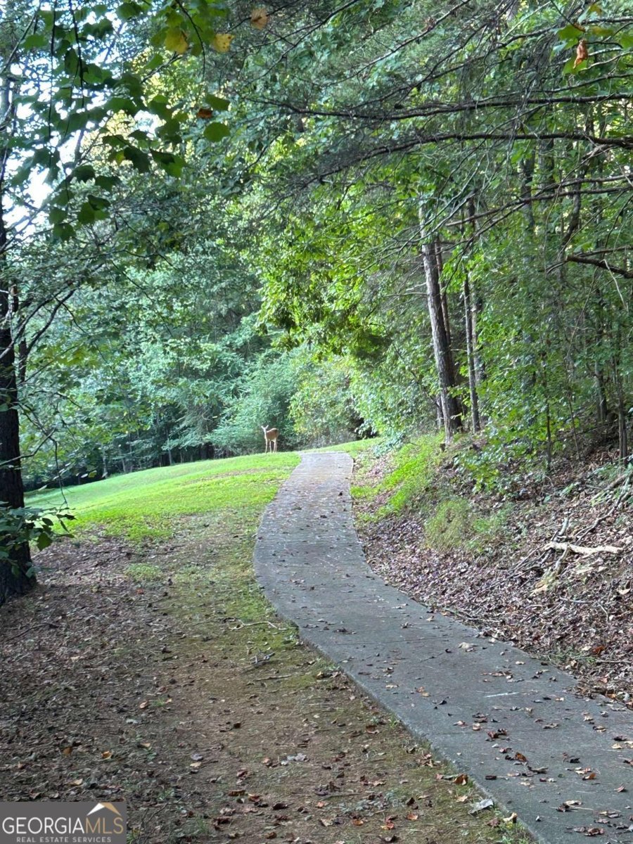 5169 Artesian Spring Drive Flowery Branch - Photo 47