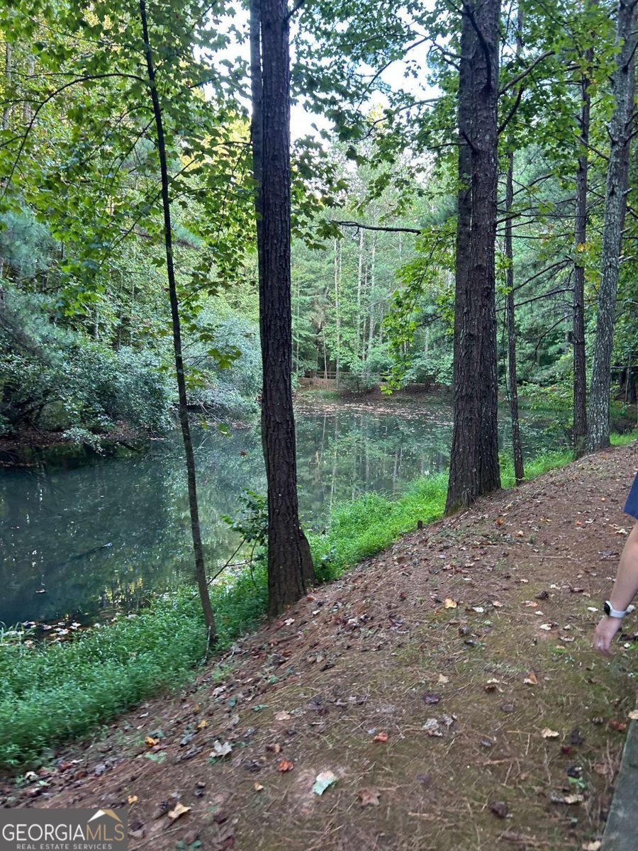 5169 Artesian Spring Drive Flowery Branch - Photo 49