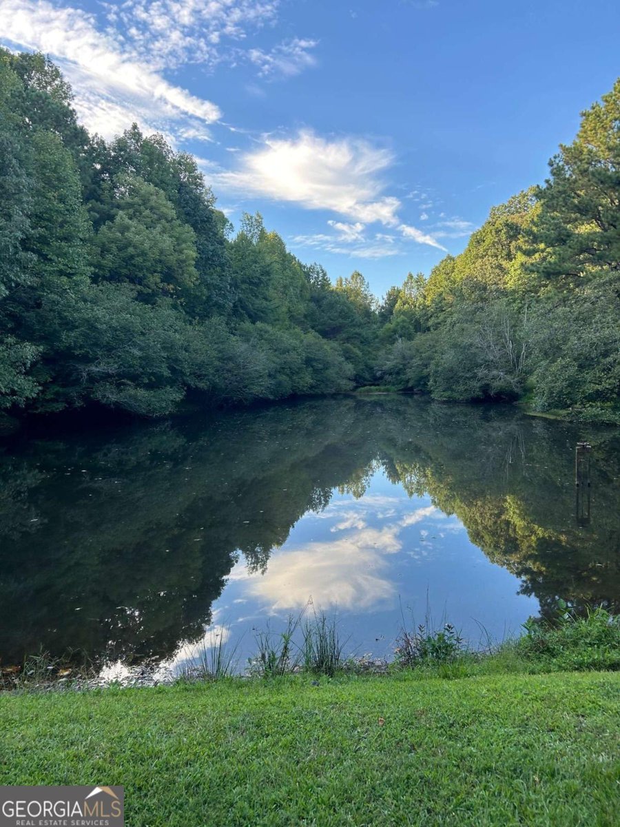 5169 Artesian Spring Drive Flowery Branch - Photo 50