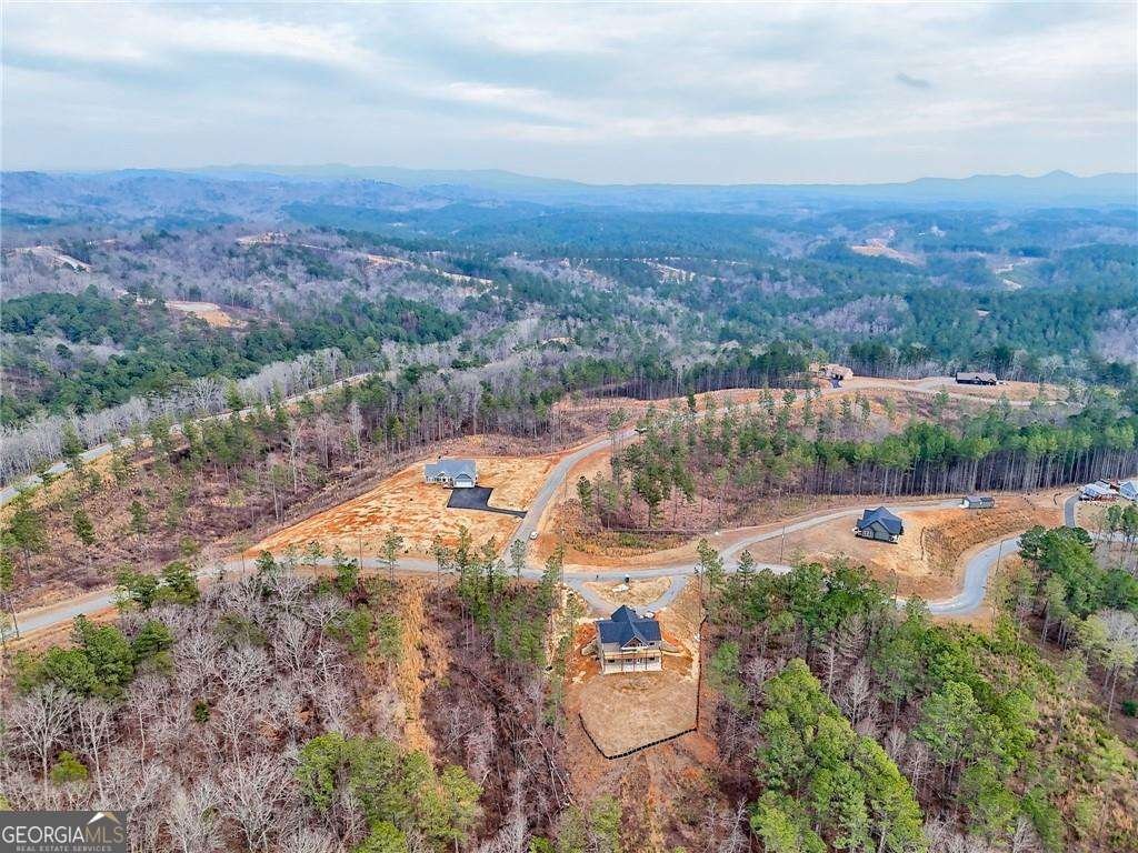 2956 Blalock Mountain Road Talking Rock - Photo 56