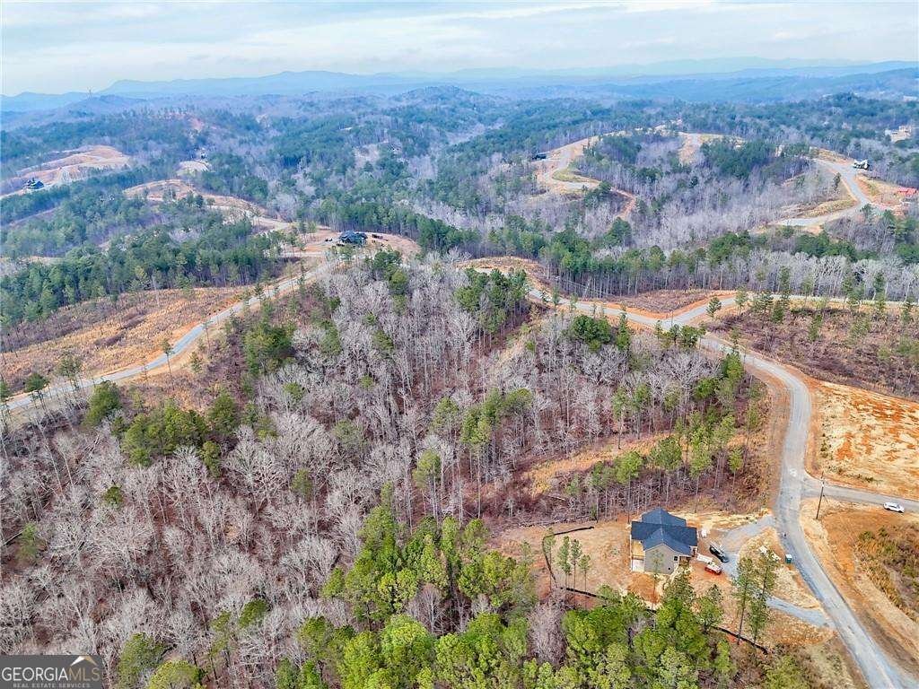 2956 Blalock Mountain Road Talking Rock - Photo 58