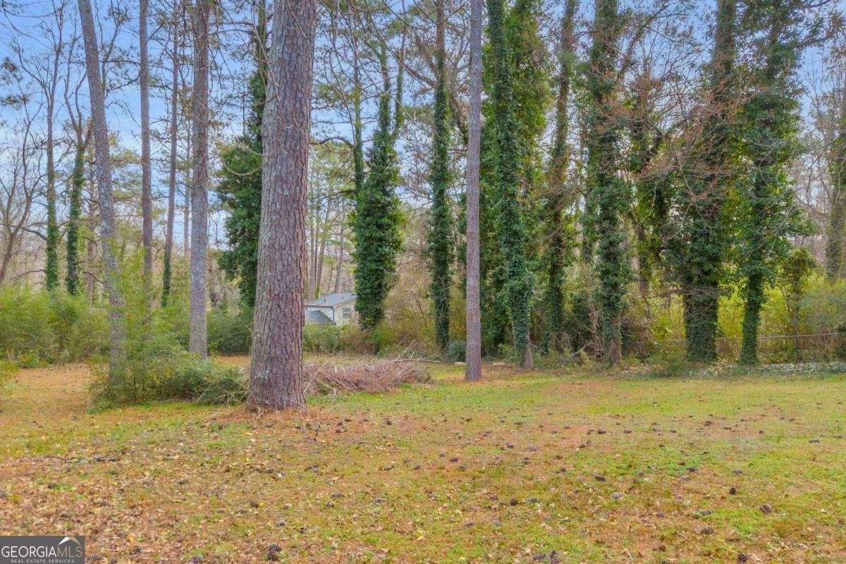 3260 Hidden Forest Drive Snellville - Photo 35