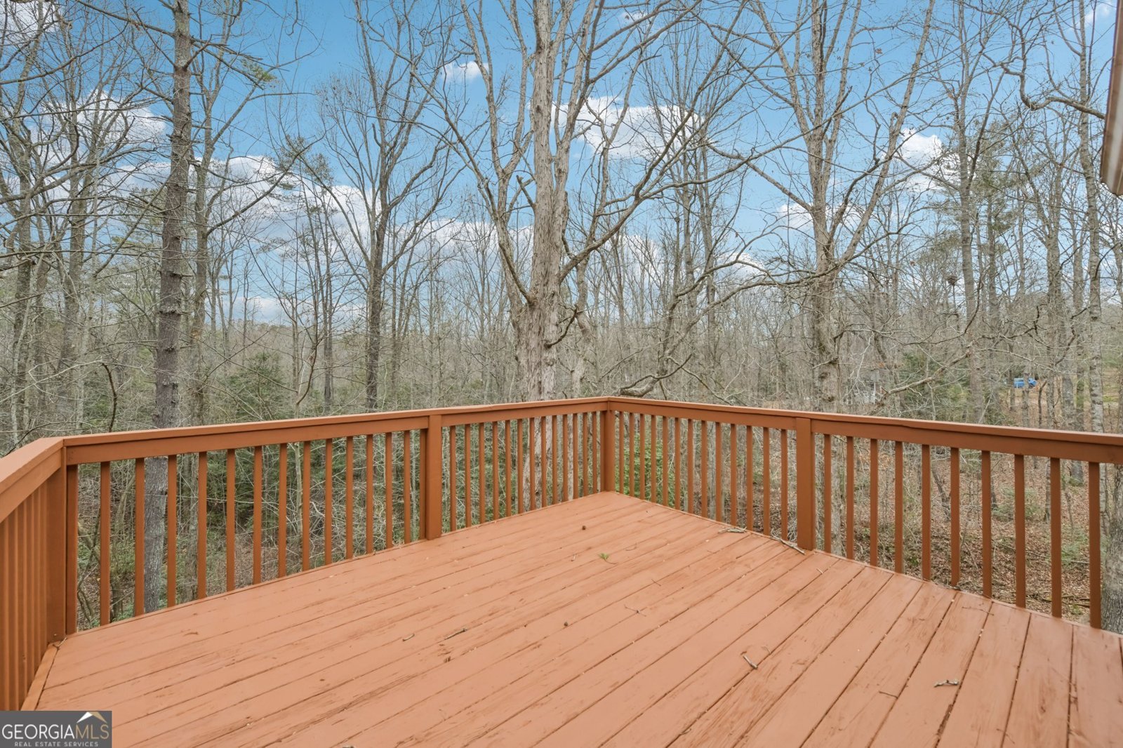 333 Whiskey Still Drive Cleveland - Photo 34