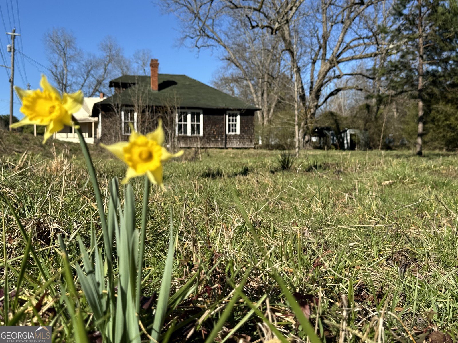 9822 Jones Street Sparta - Photo 41