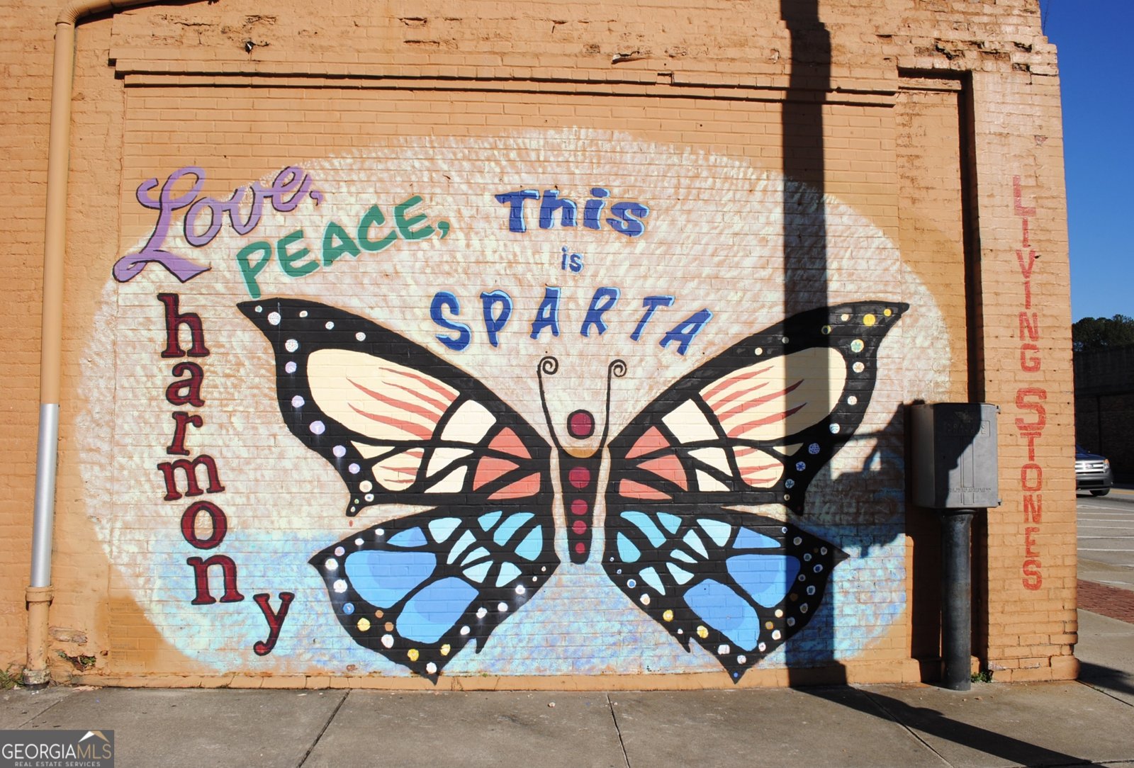 9822 Jones Street Sparta - Photo 52