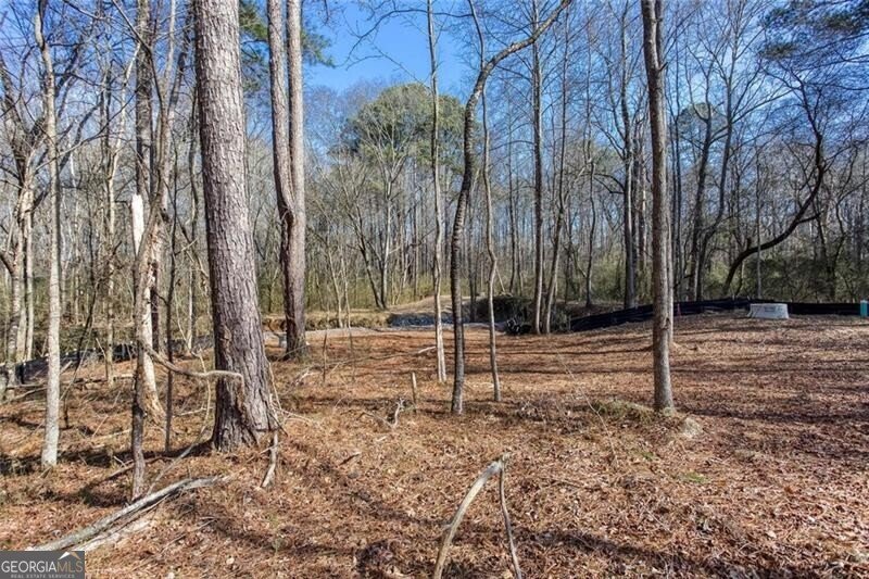 3454 Velma Drive Powder Springs - Photo 44