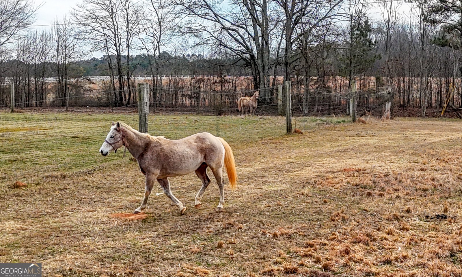 298 Trestle Road Locust Grove - Photo 27
