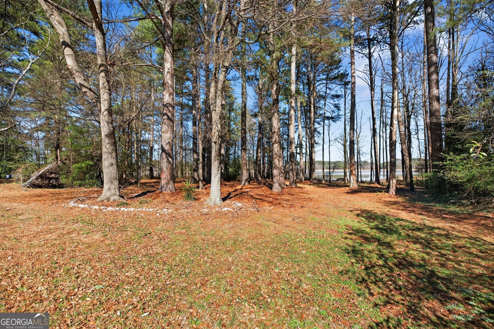 3400 Old Dobbins Bridge Road Fair Play - Photo 21