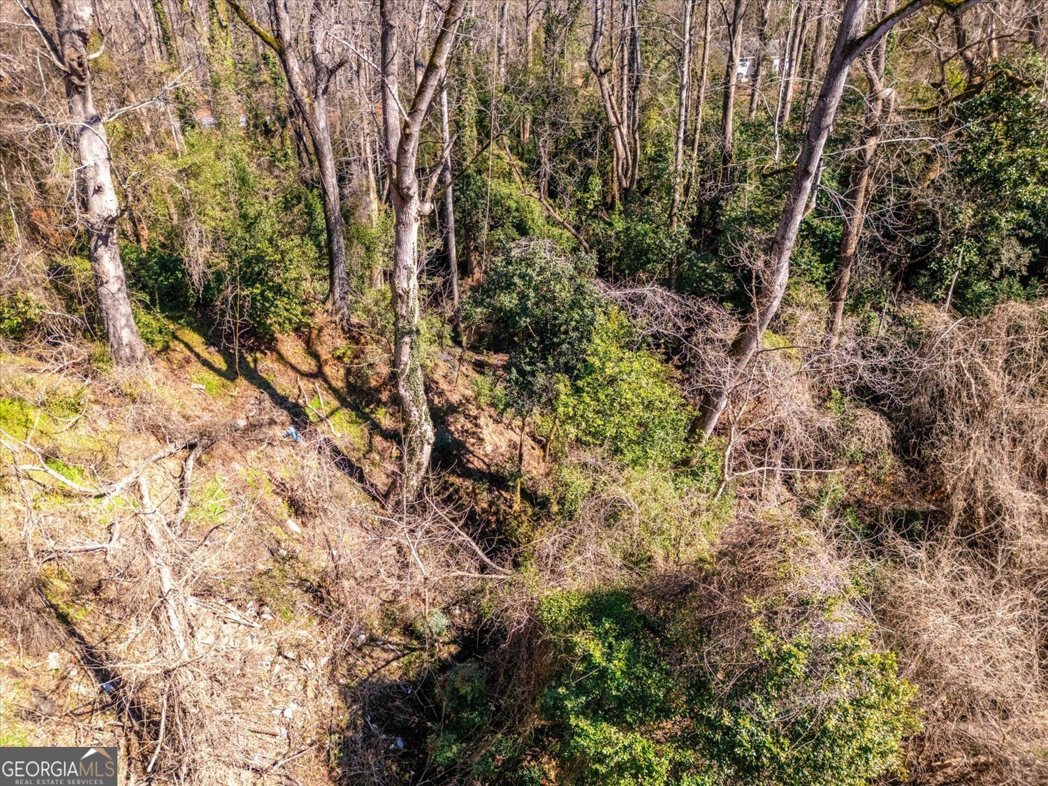 528 Alexander Avenue Washington - Photo 39