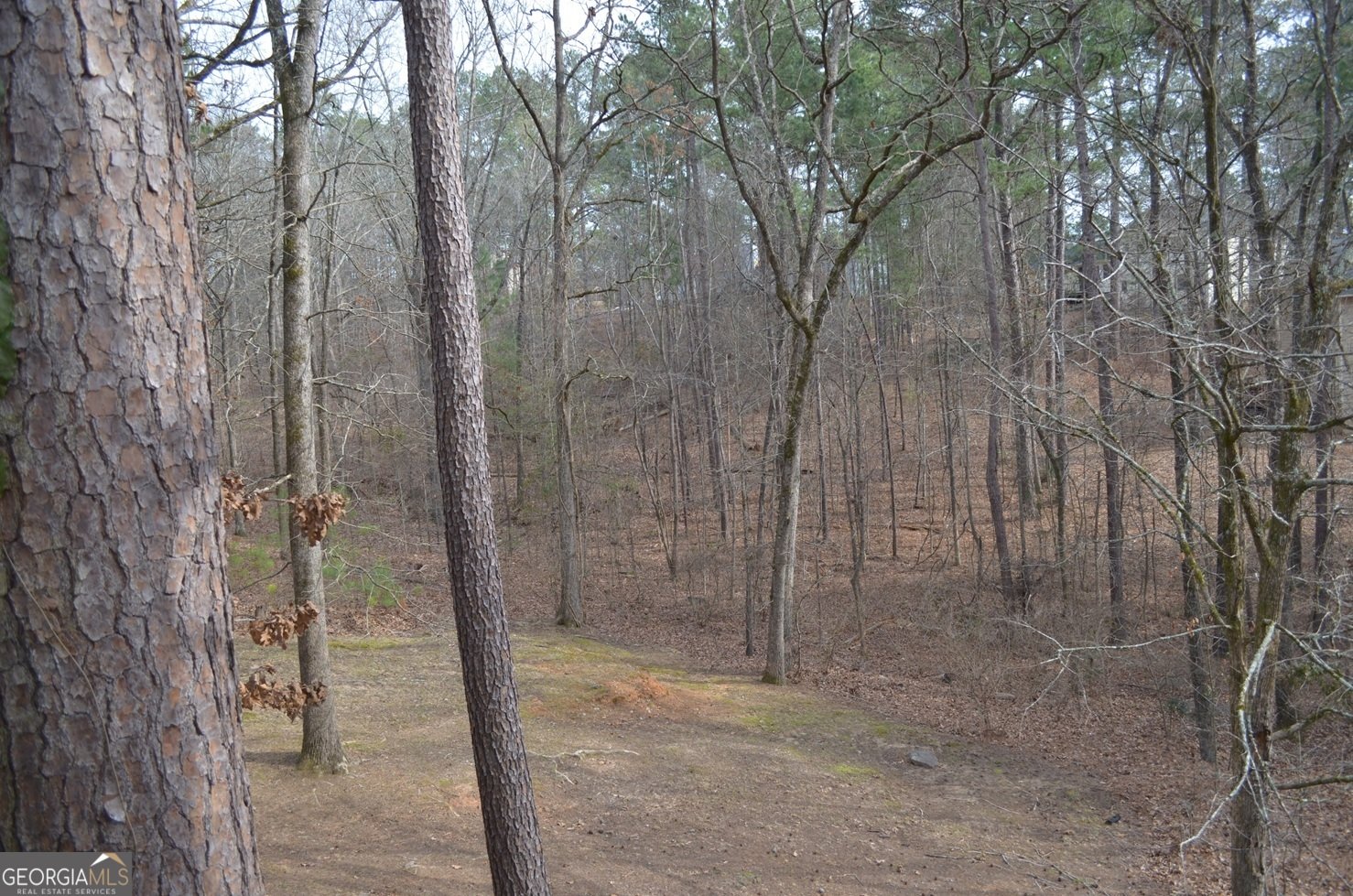 112 Southern Pines Circle Macon - Photo 22