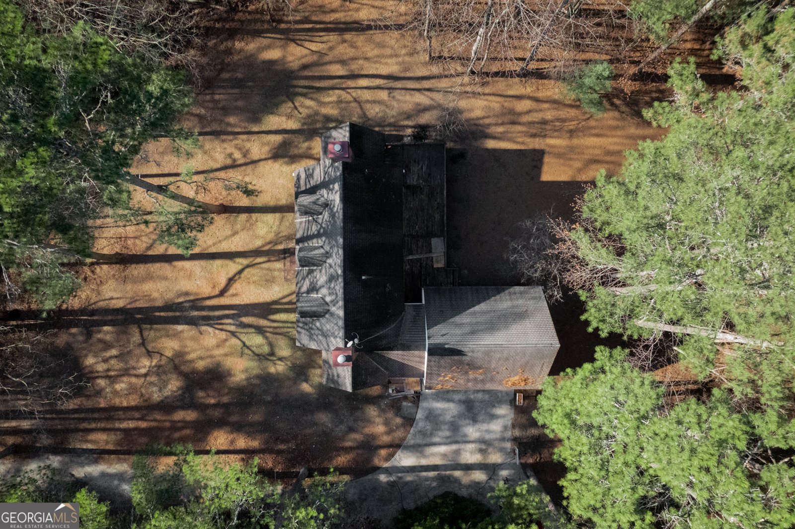 2210 Cammie Wages Road dacula - Photo 1