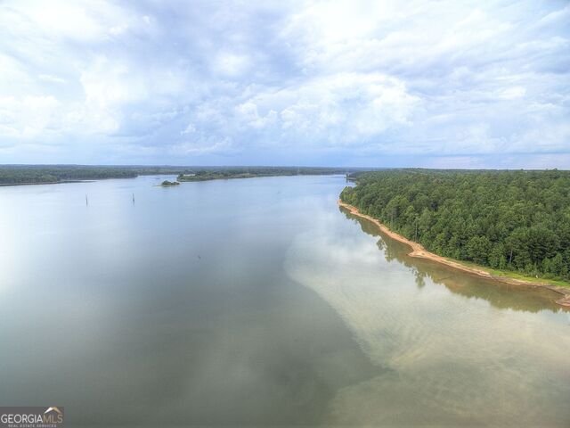 1141 Pebble Creek Lane Locust Grove - Photo 24