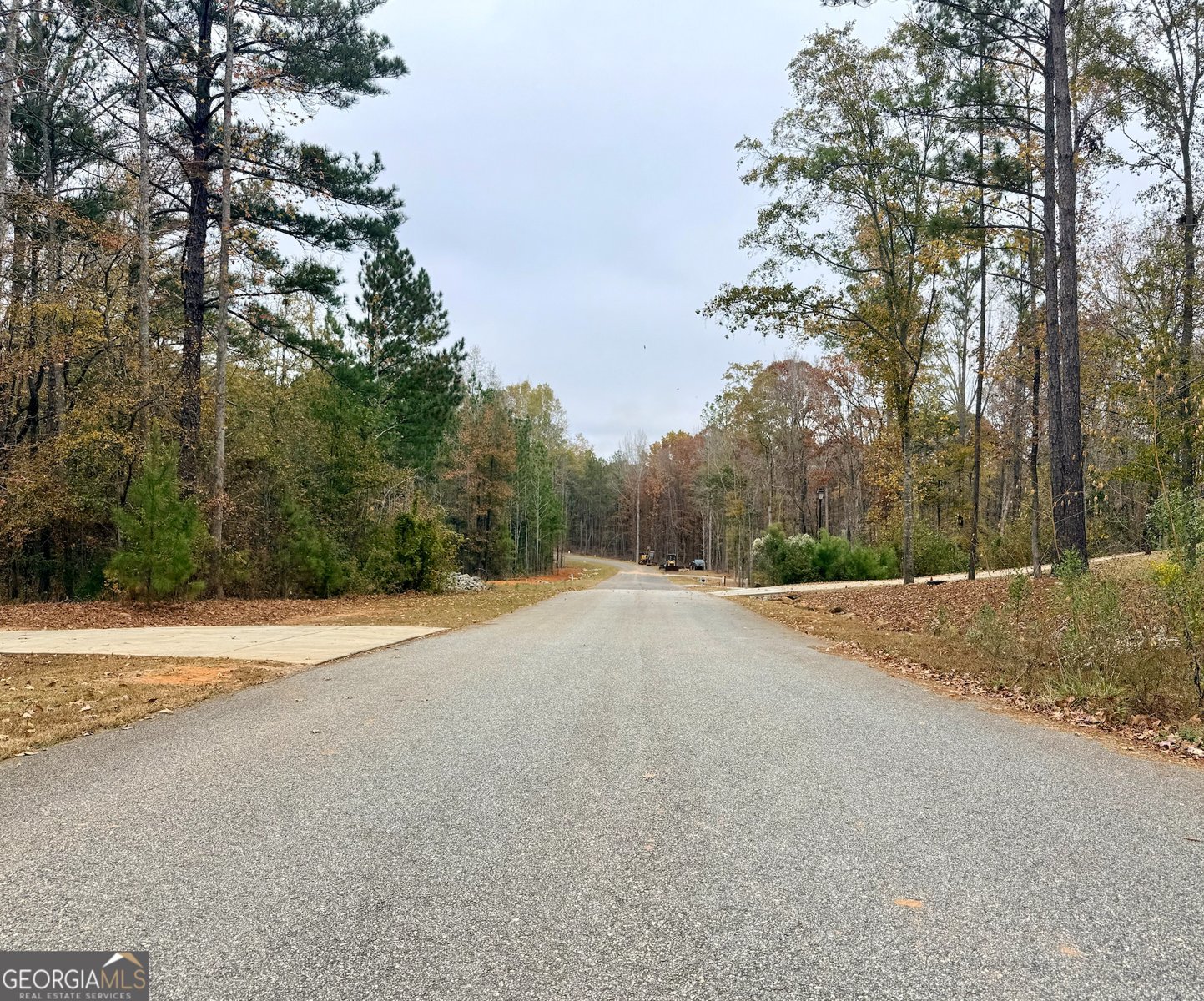 LOT 10 Rolling Meadows Way Waverly Hall - Photo 8