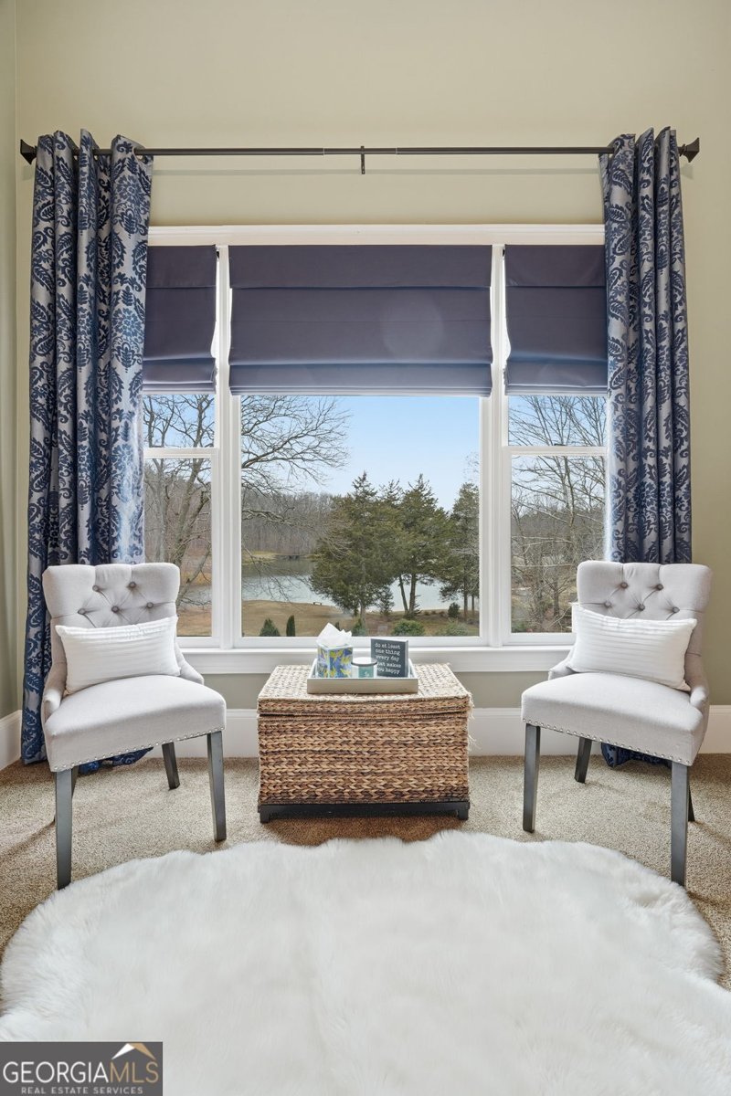 87 Carsons Creek Drive Dawsonville - Photo 54