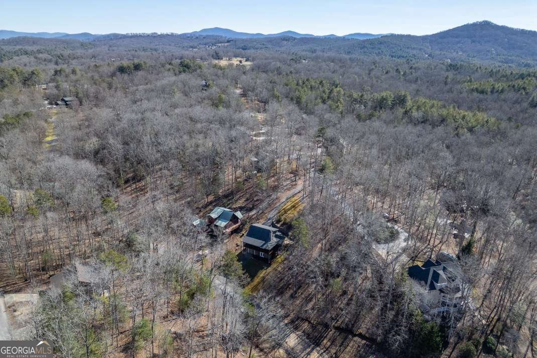 332 Talon Trace Blairsville - Photo 78