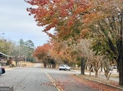 LOT 11 Rolling Meadows Way Waverly Hall - Photo 12