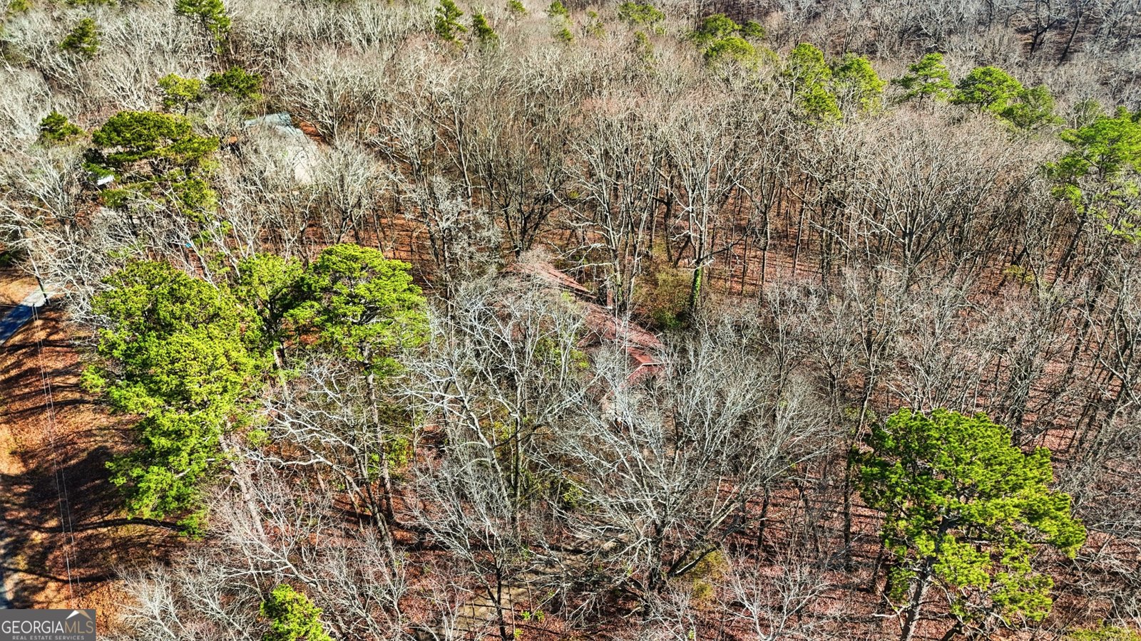 1752 Highway 2 Cohutta - Photo 10