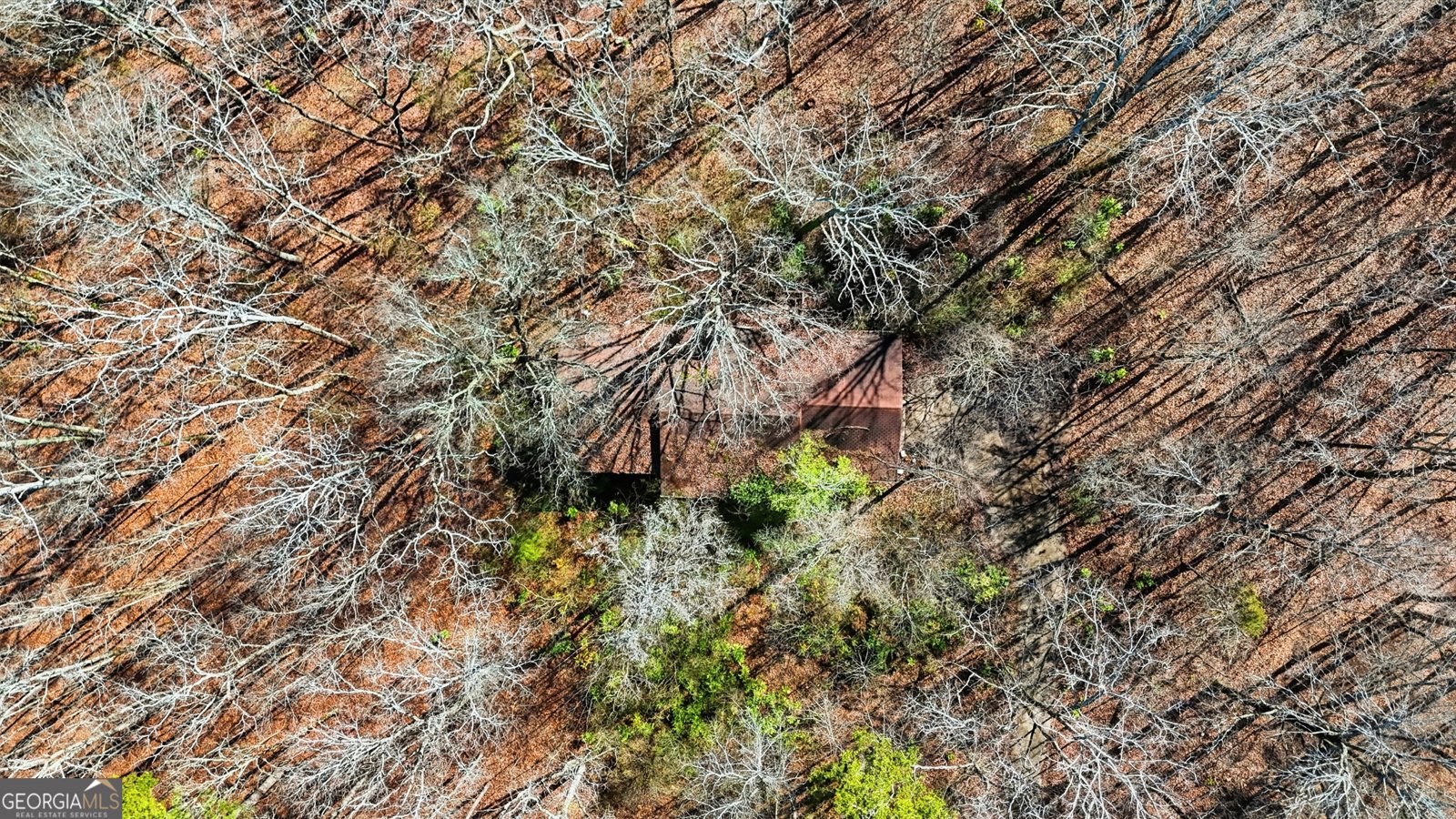 1752 Highway 2 Cohutta - Photo 11