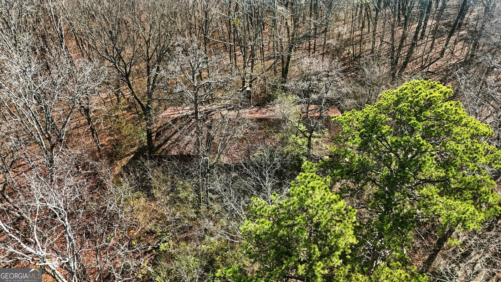 1752 Highway 2 Cohutta - Photo 12