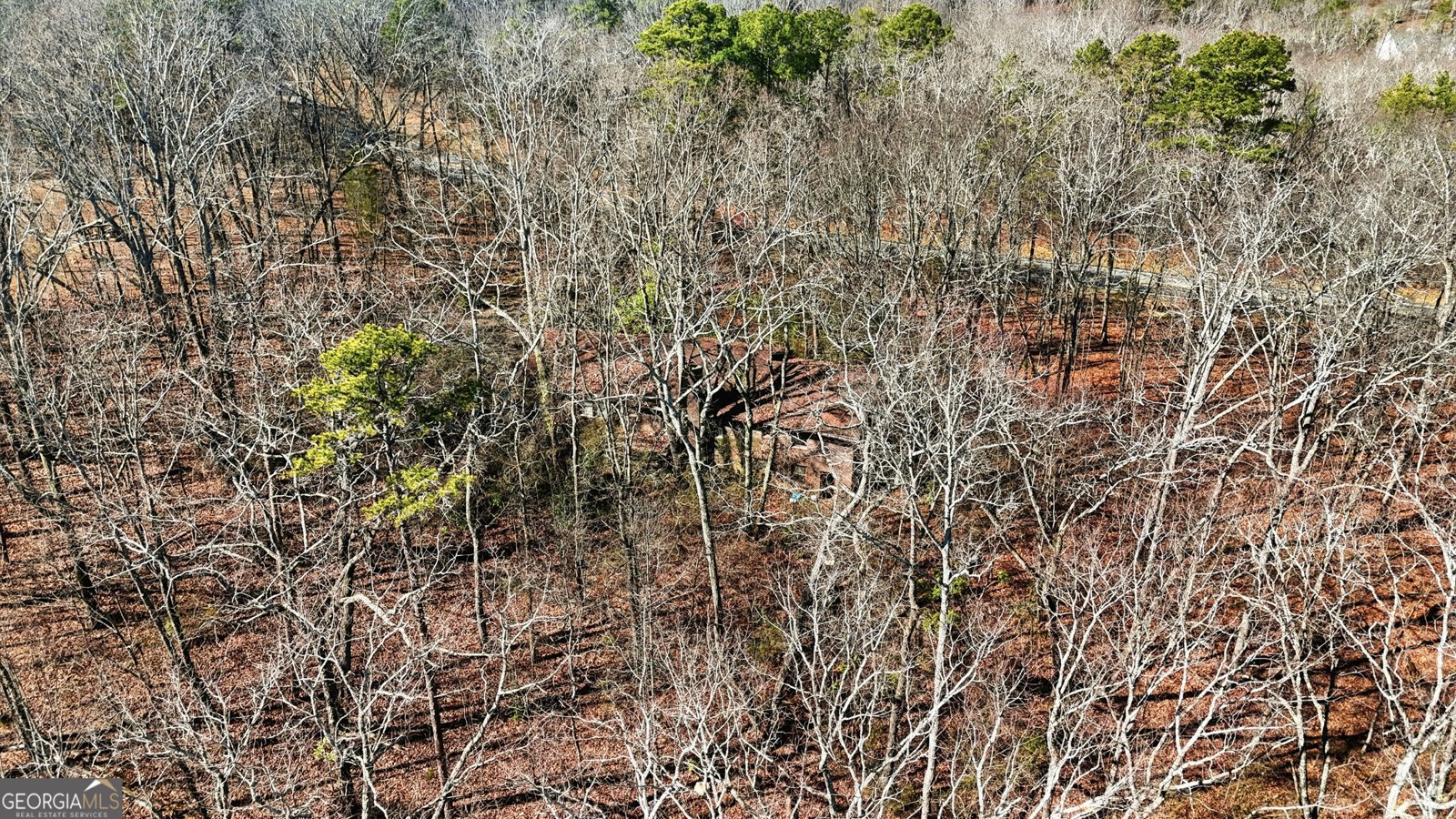 1752 Highway 2 Cohutta - Photo 14