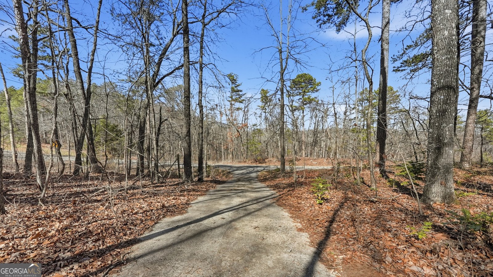 1752 Highway 2 Cohutta - Photo 6