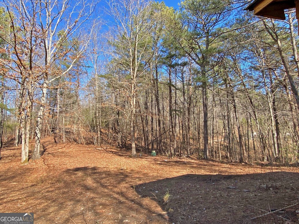 1394 Hwy 136 Talking Rock - Photo 8