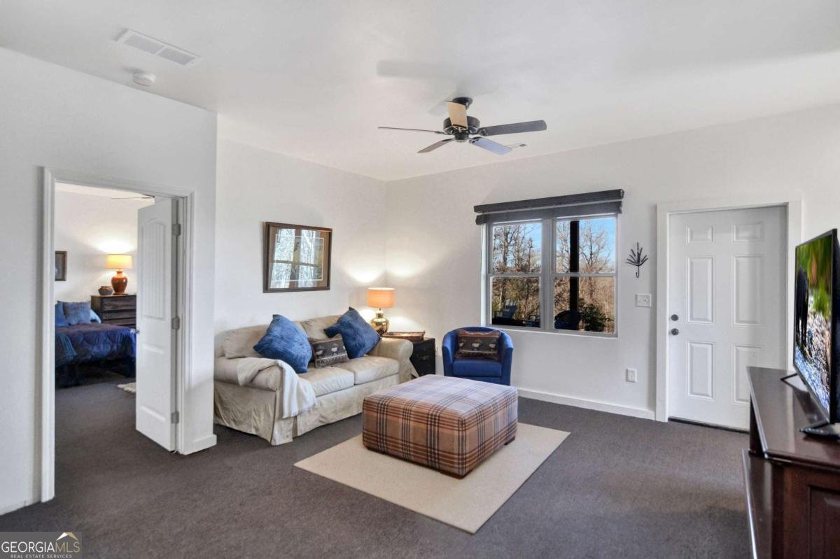 196 Grayson Point Blue Ridge - Photo 29