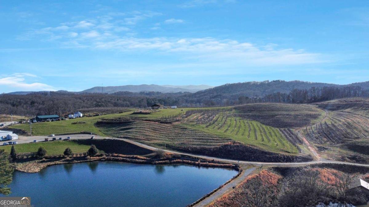 196 Grayson Point Blue Ridge - Photo 35