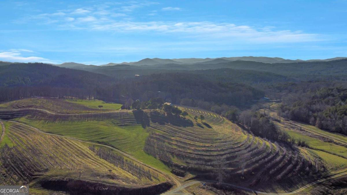 196 Grayson Point Blue Ridge - Photo 38