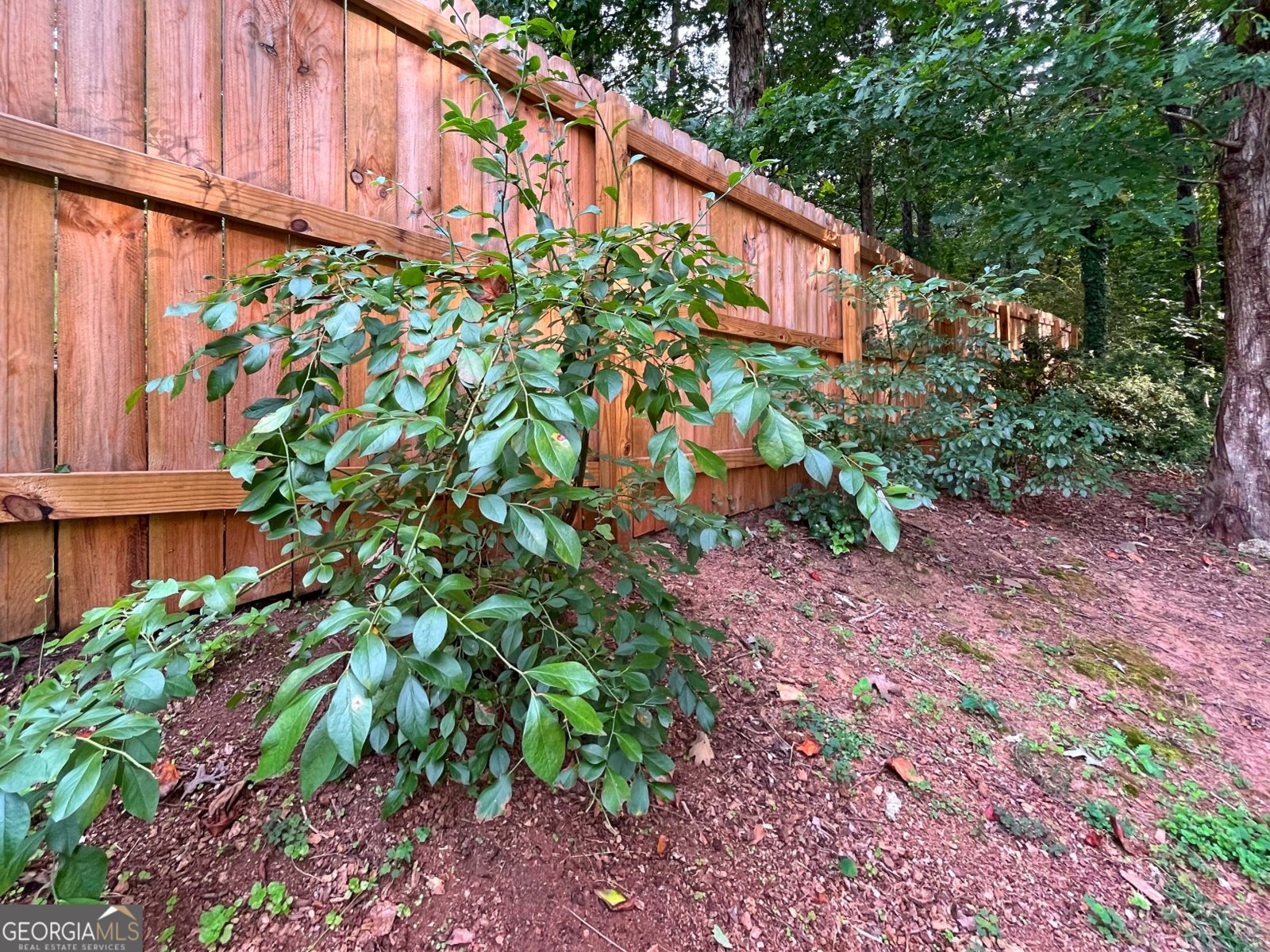 6832 Creekwood Drive Douglasville - Photo 62