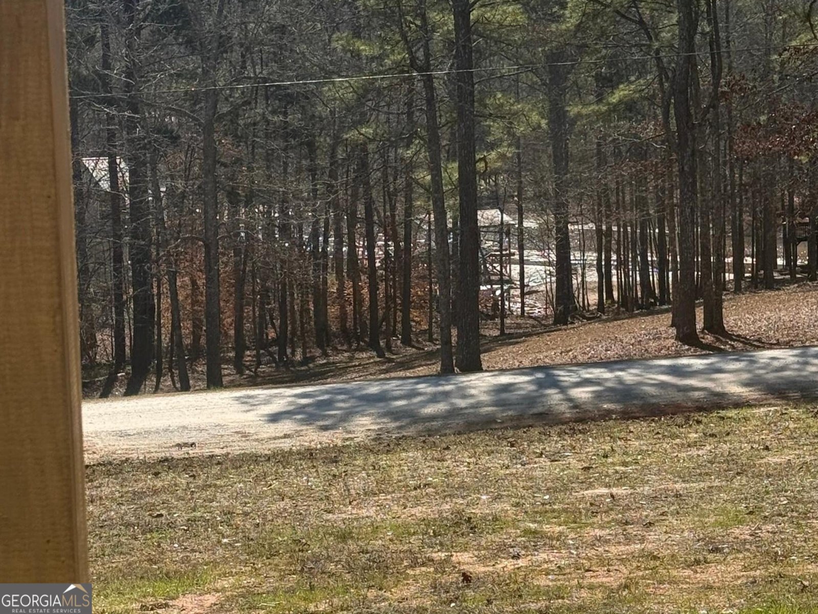 94 Lakewood Drive Wedowee - Photo 26