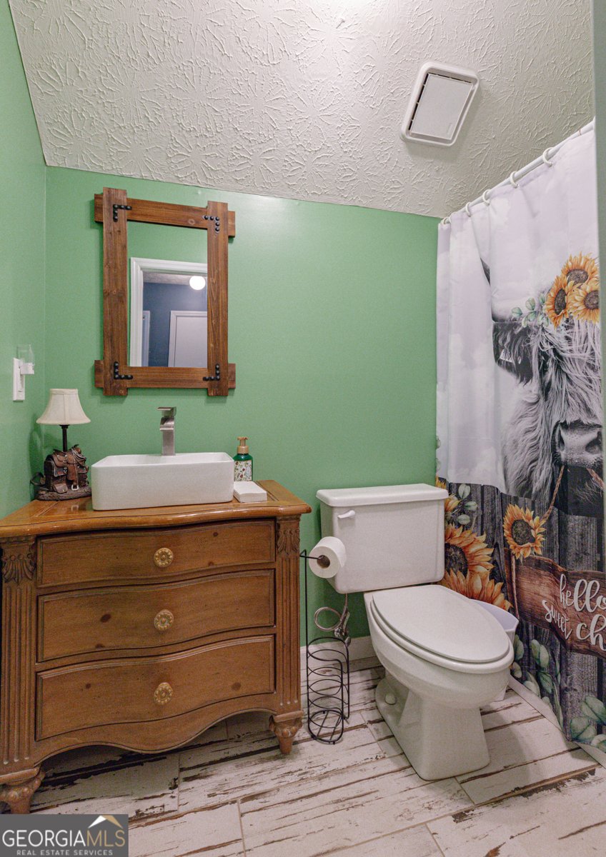 605 Rowe Road Senoia - Photo 38