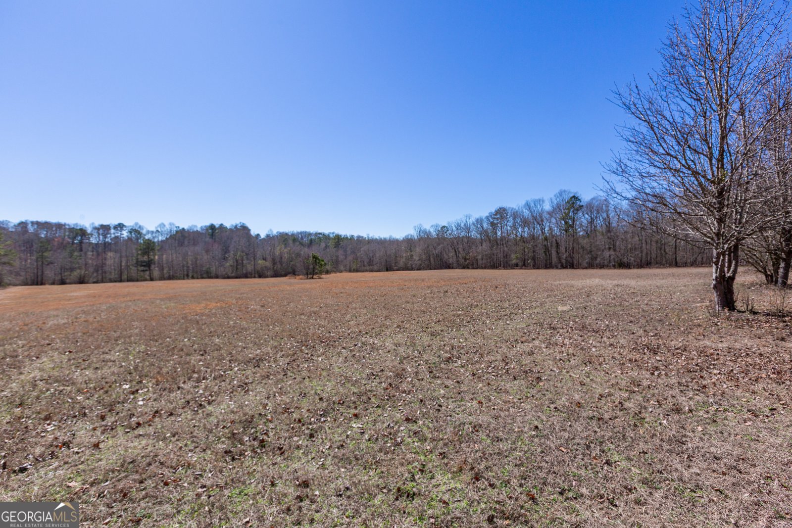 605 Rowe Road Senoia - Photo 73