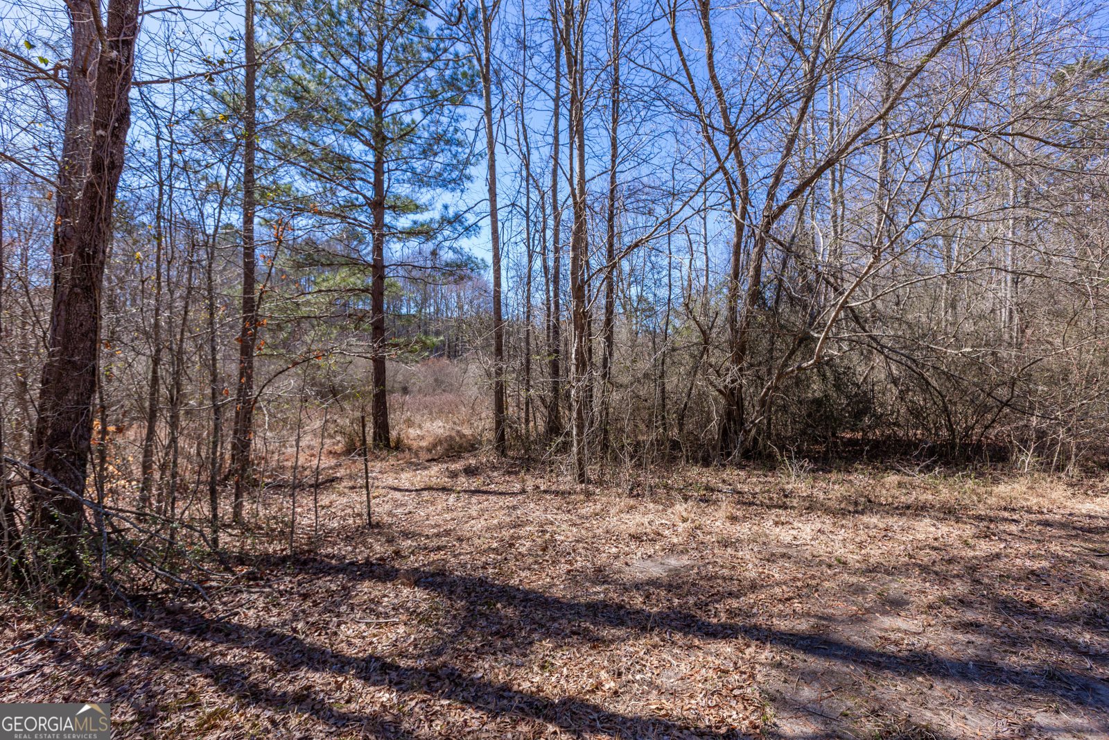 605 Rowe Road Senoia - Photo 76