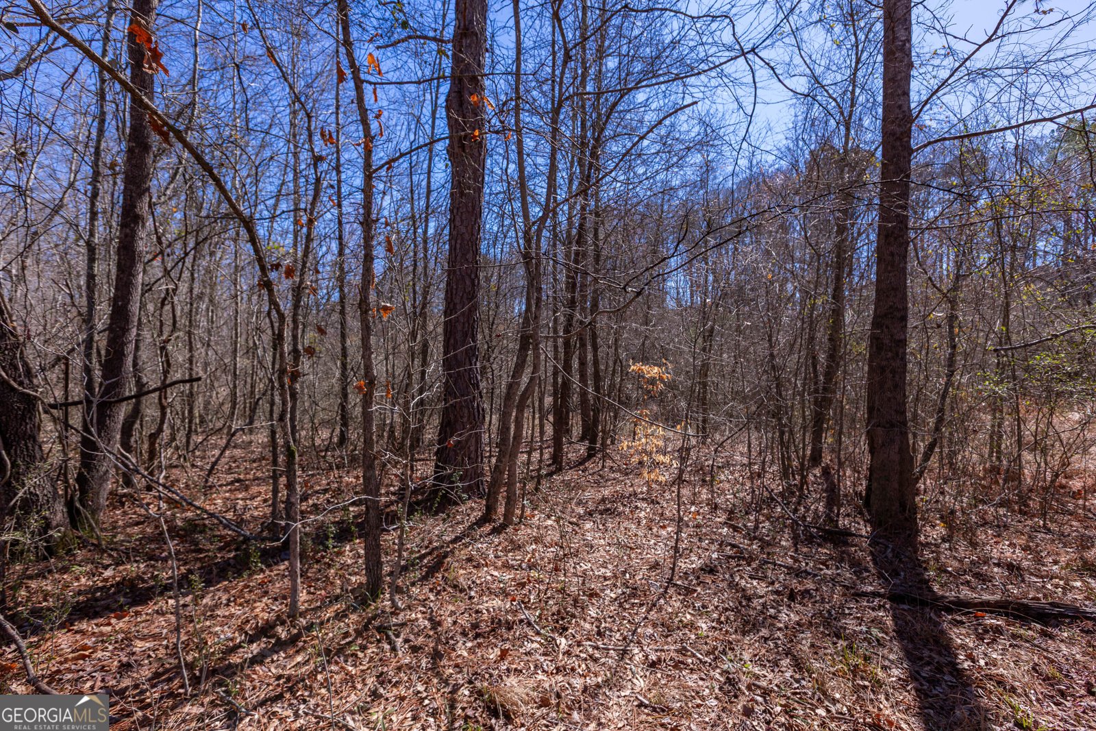 605 Rowe Road Senoia - Photo 79