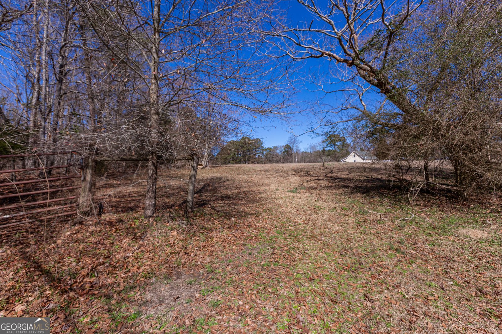 605 Rowe Road Senoia - Photo 84