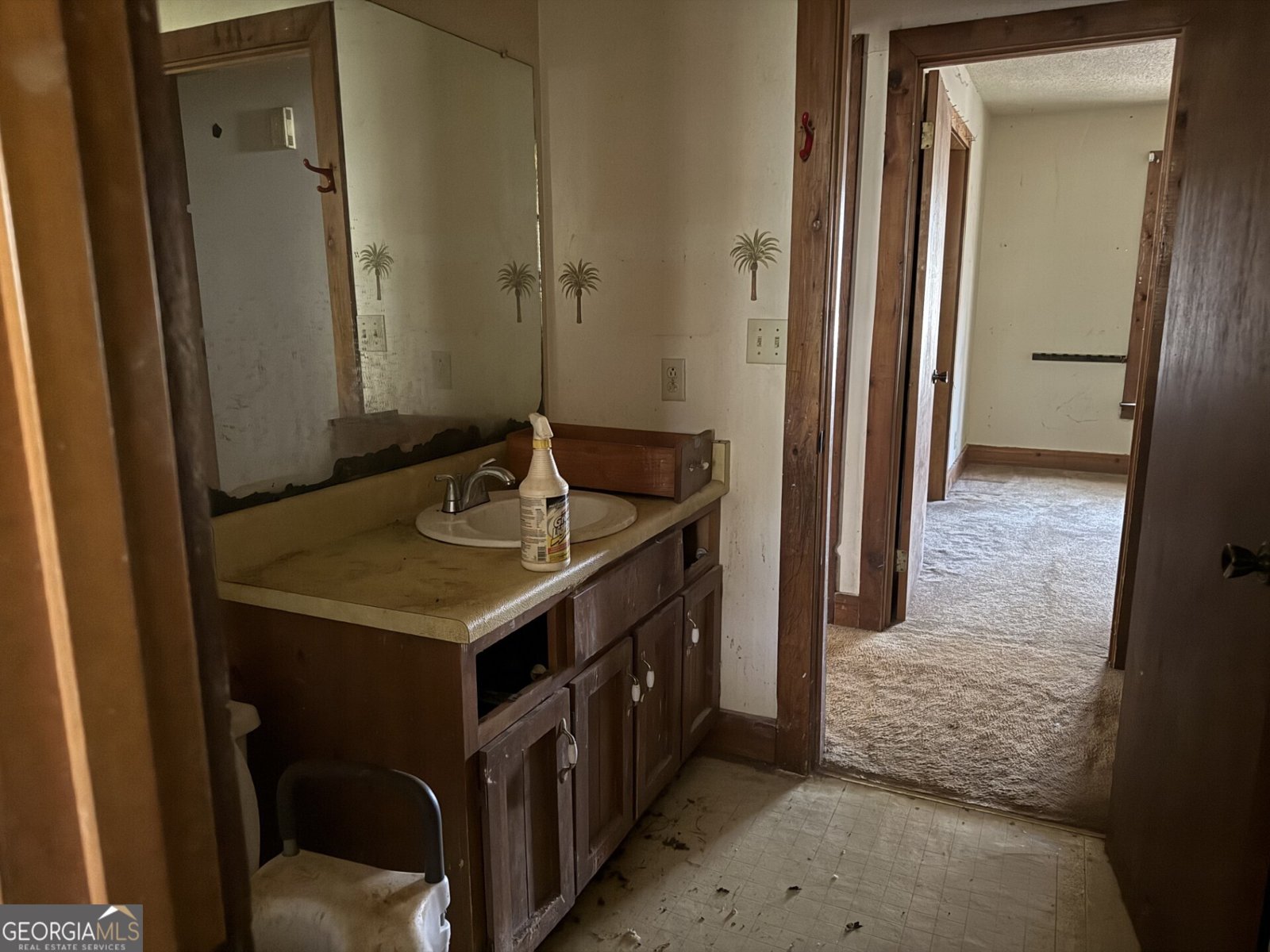 1166 Coyote Court Macon - Photo 9