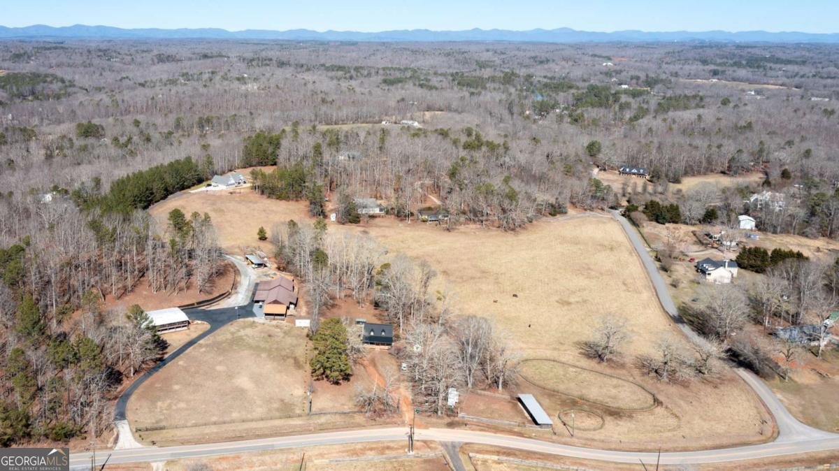 1367 Grizzle Road Dawsonville - Photo 46