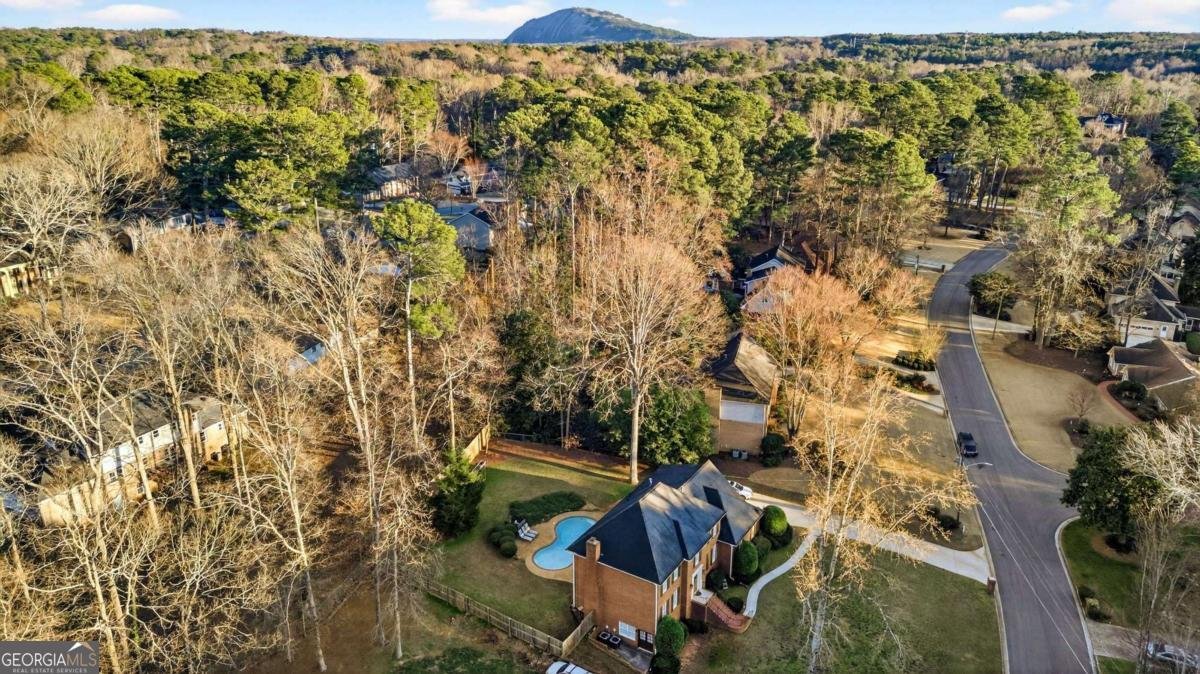 4870 Forestglade Court Smoke Rise - Photo 41