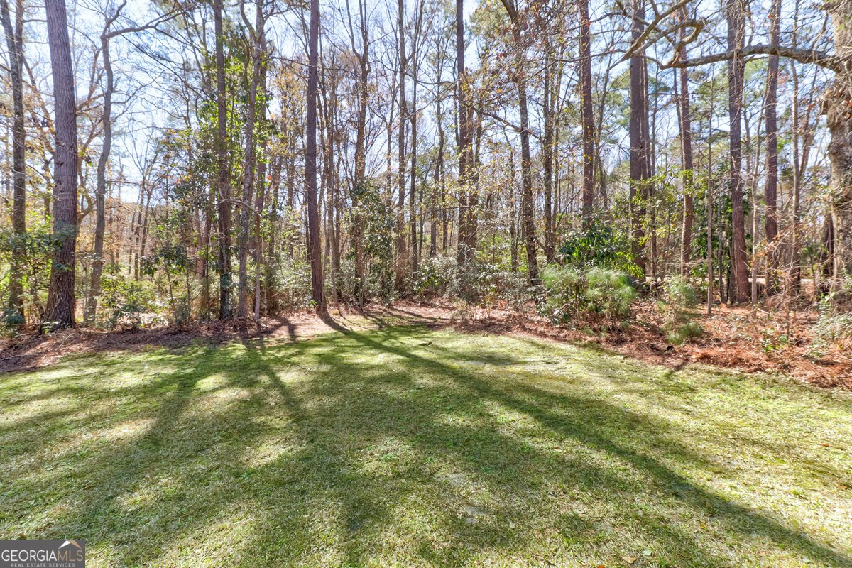 811 Rosalie Court Rincon - Photo 32