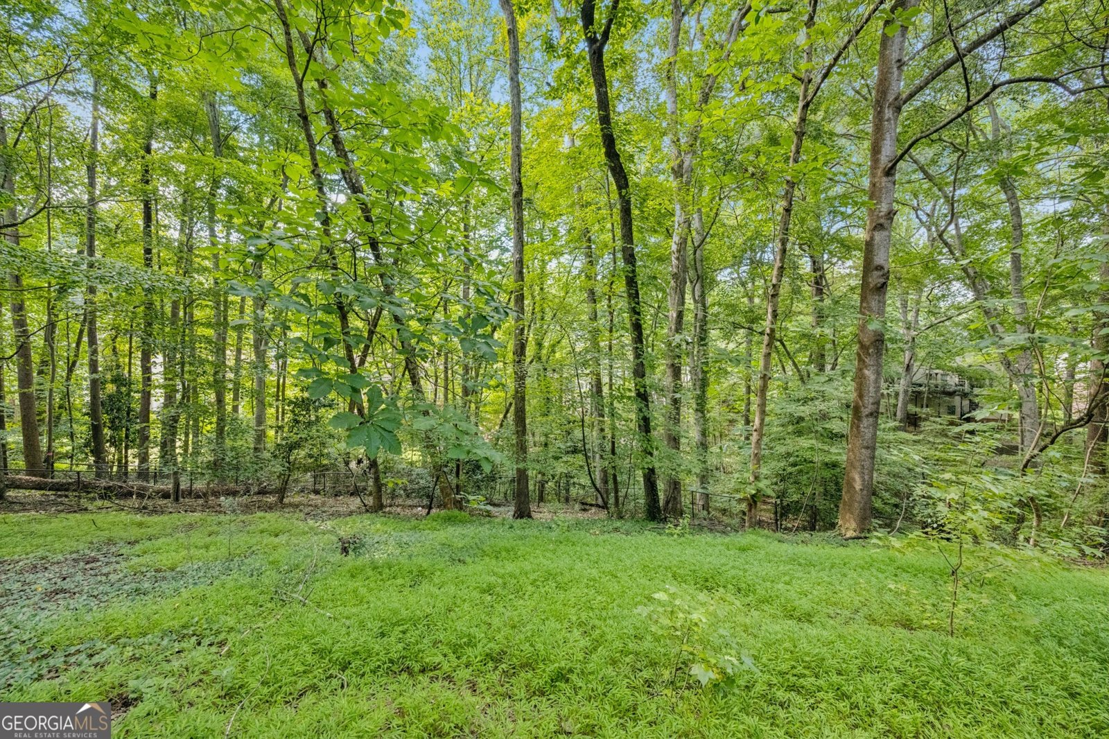 1153 Byrnwyck Court Brookhaven - Photo 48