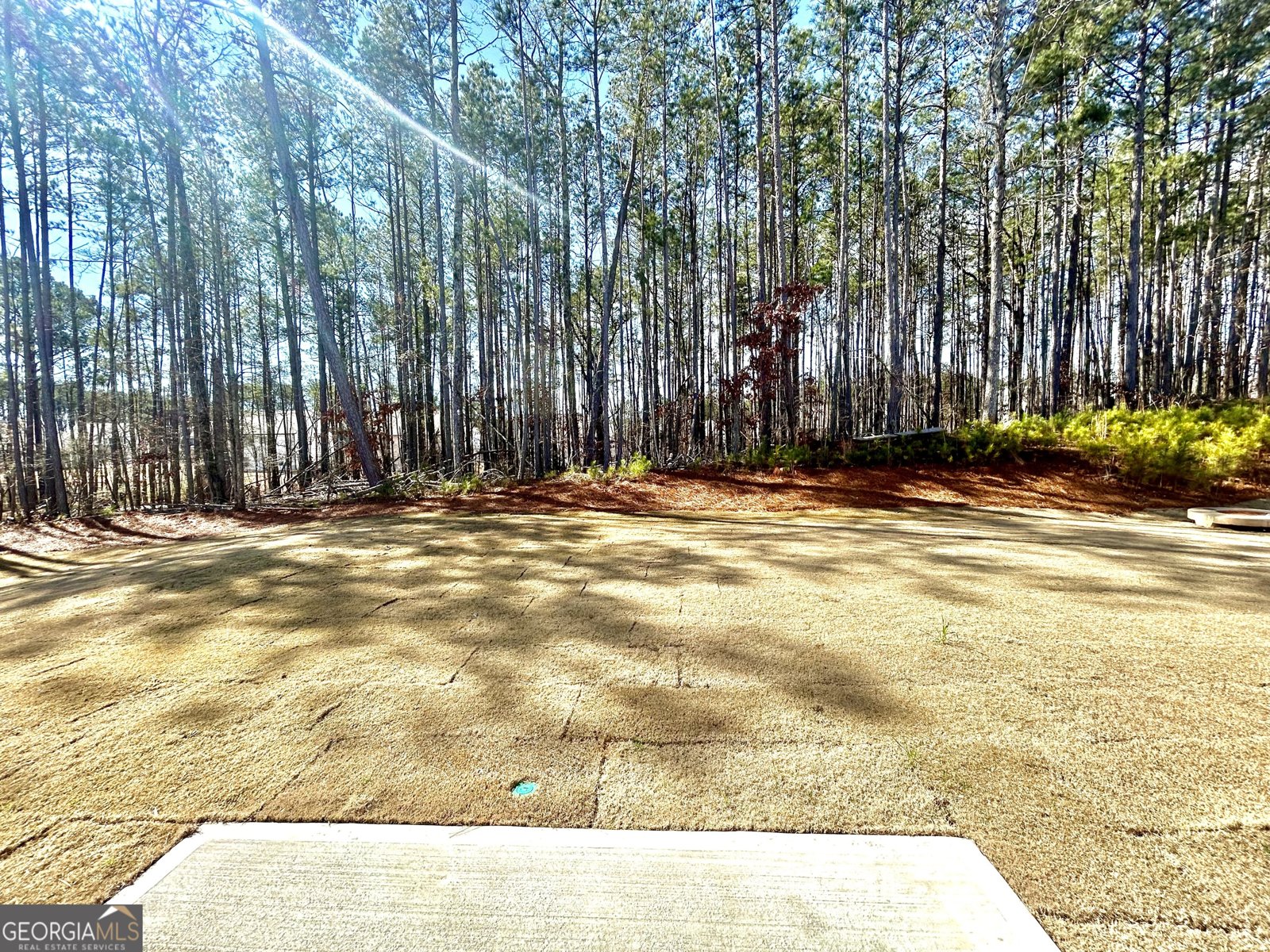 5341 Heron Bay Boulevard Locust Grove - Photo 27