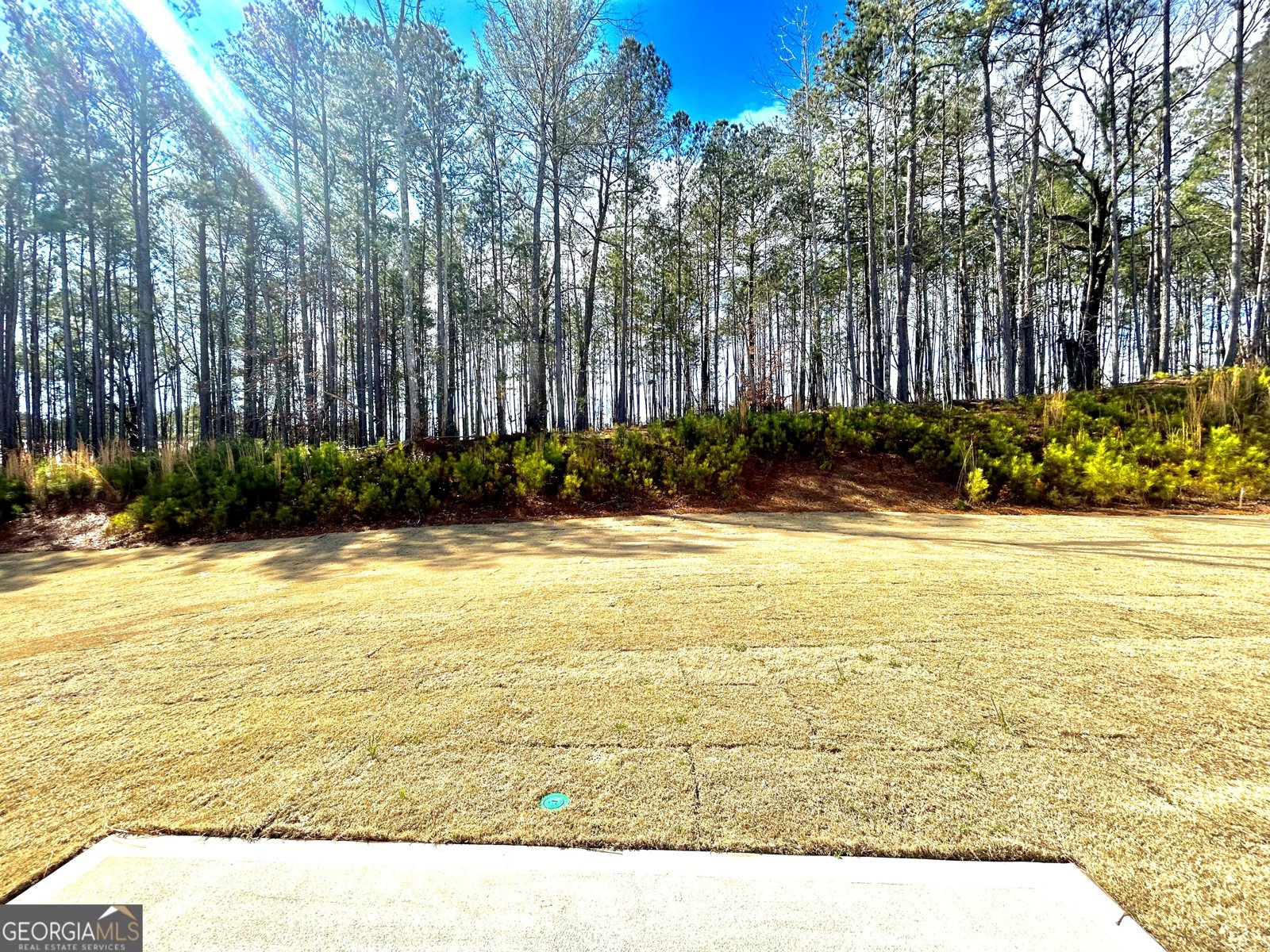 5349 Heron Bay Boulevard Locust Grove - Photo 29