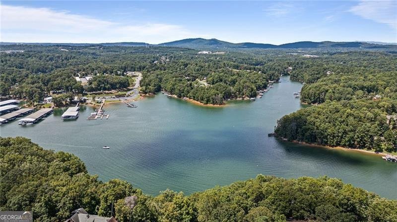 4050 Vintage Court Cumming - Photo 50