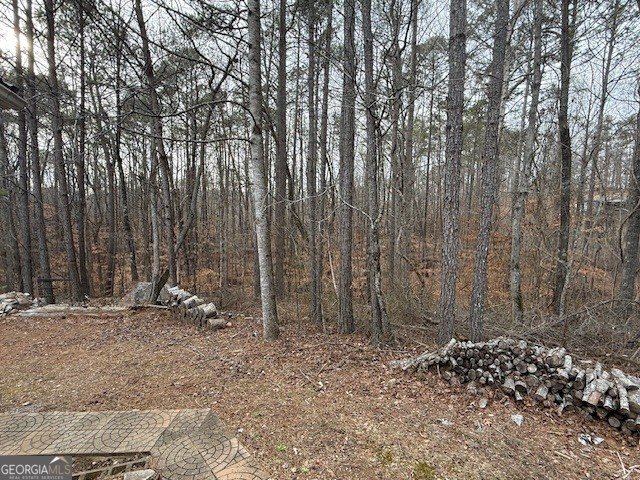 609 Old McCoy Place Waleska - Photo 20