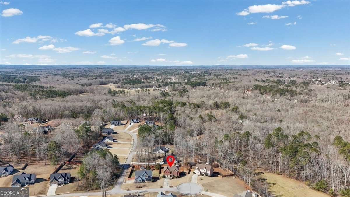 33 Trina Court Douglasville - Photo 59